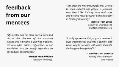 feedback mentees