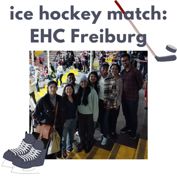 ice hockey match