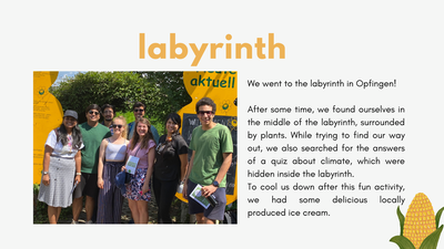 Labyrinth
